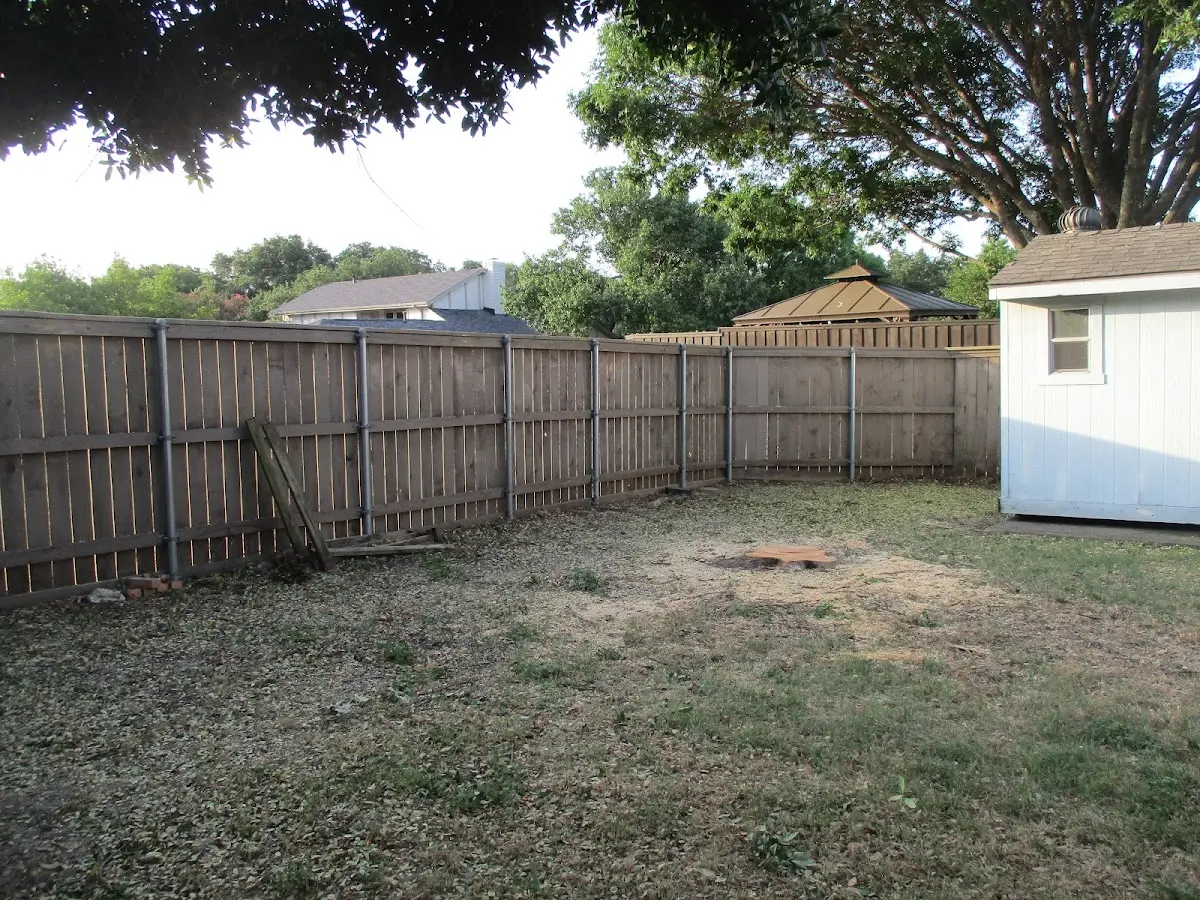 Cleared yard after professional tree removal in Saint Xavier